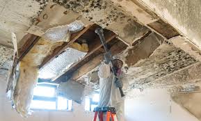 Best Black Mold Removal  in Caldwell, TX